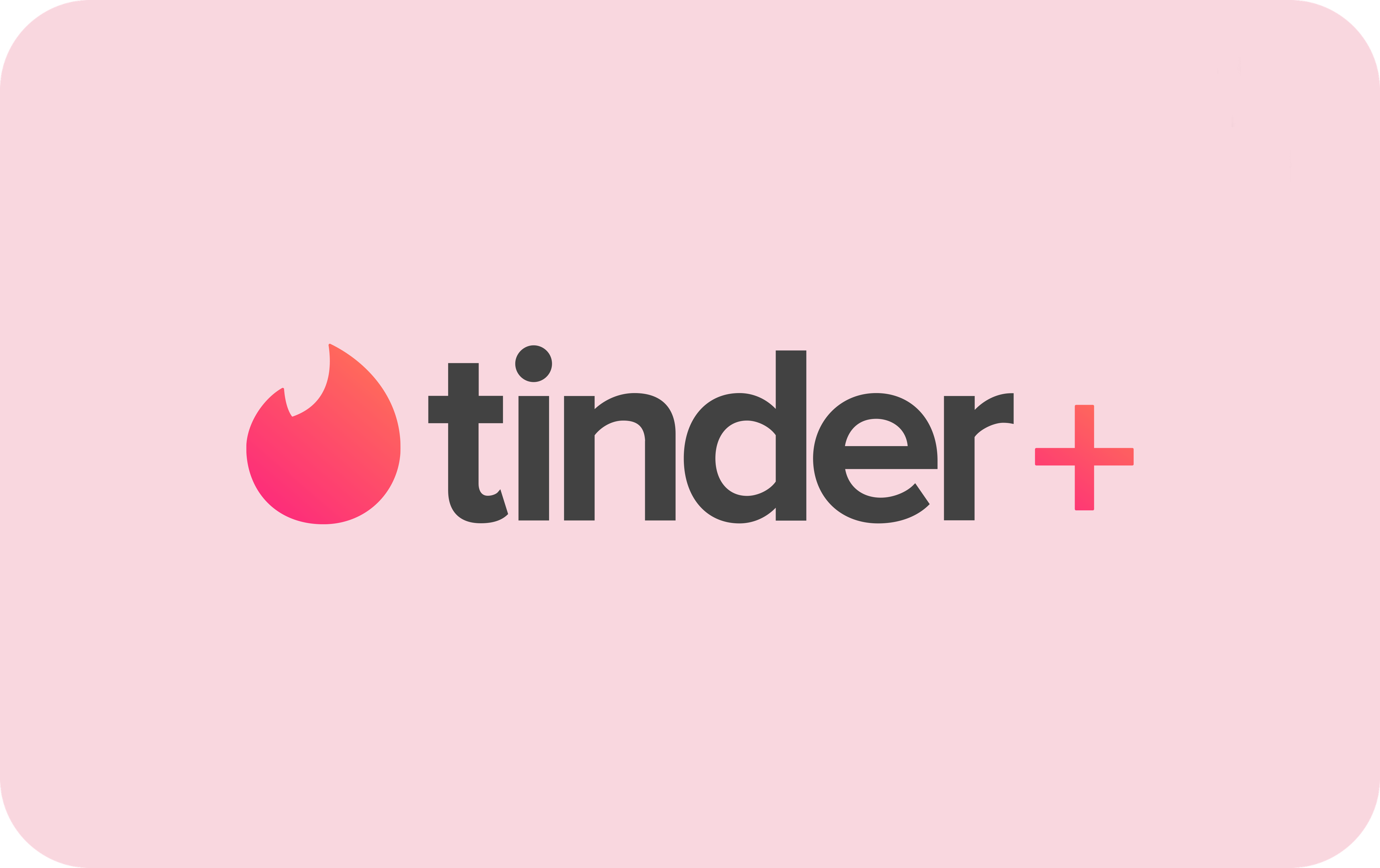 Tinder Plus 12 Meses